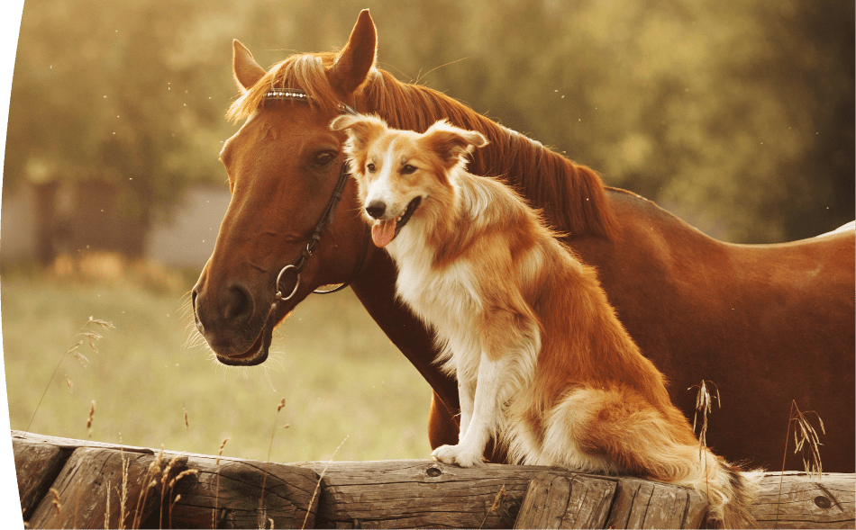 shutterstock_136615955